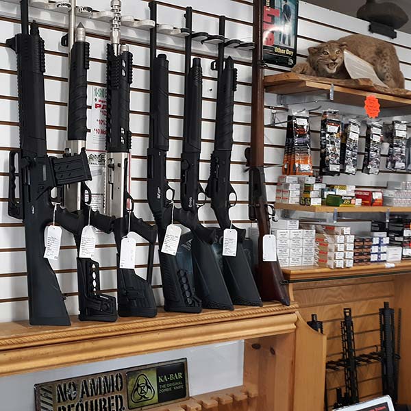 https://peninsulapawn.com/wp-content/uploads/2023/03/hunting-gun-hanging-in-showcase.jpg